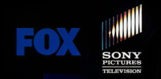 fox-topaz-denoise-text-upscale-4x
